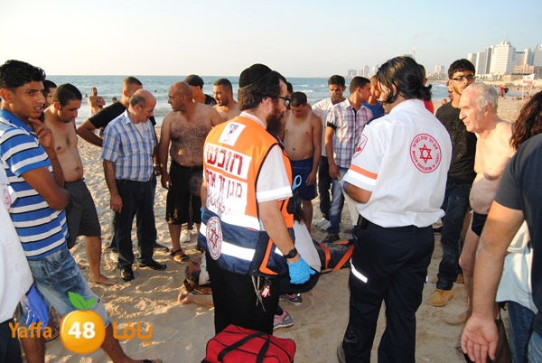 fallen from above 811 (9).JPG